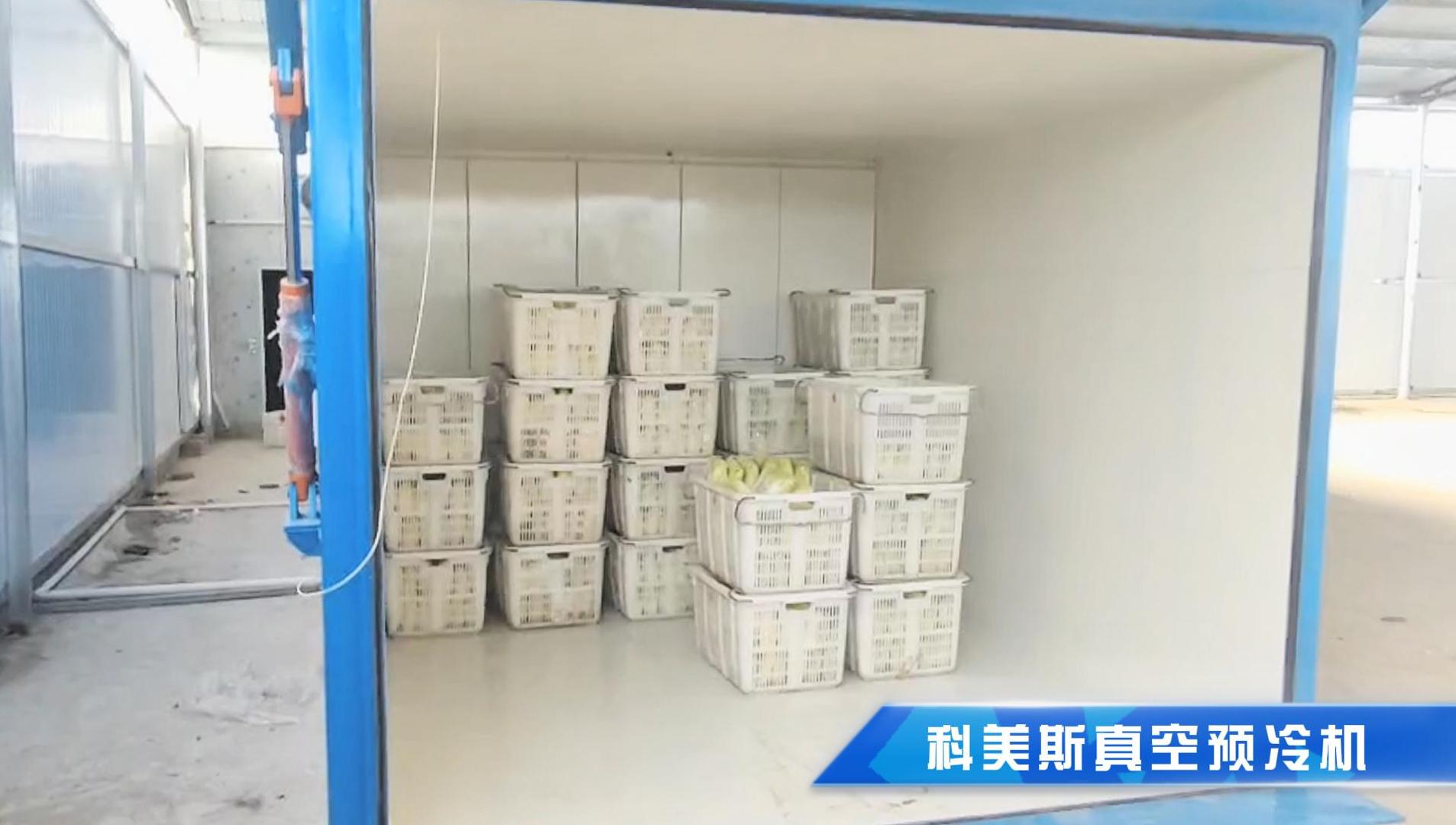 河南客戶(hù)6卡板真空預(yù)冷機(jī)出貨